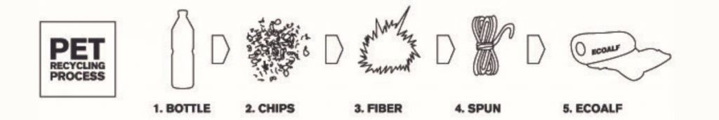 infografica pet