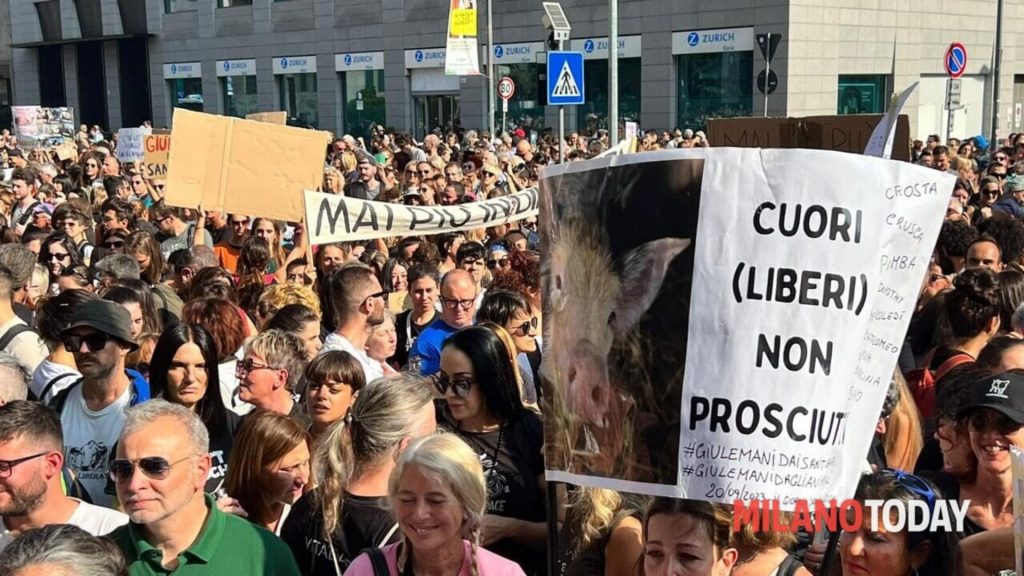 10 Dicembre: Giornata Internazionale Dei Diritti degli Animali - proteste e manifestazioni