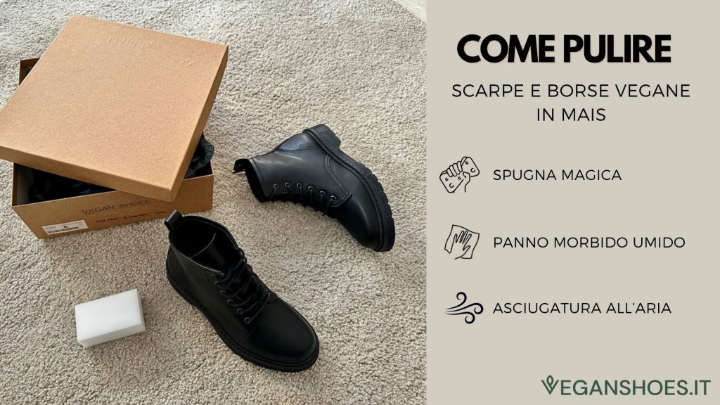 Infografica su  Come si Puliscono Scarpe e Borse in Mais? 