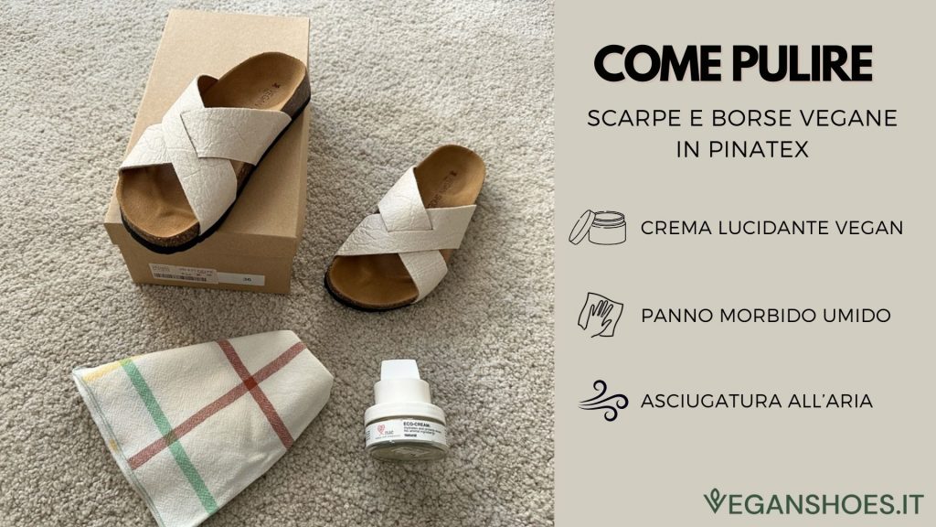 Infografica su  Come si Puliscono Scarpe e Borse in Pinatex? 