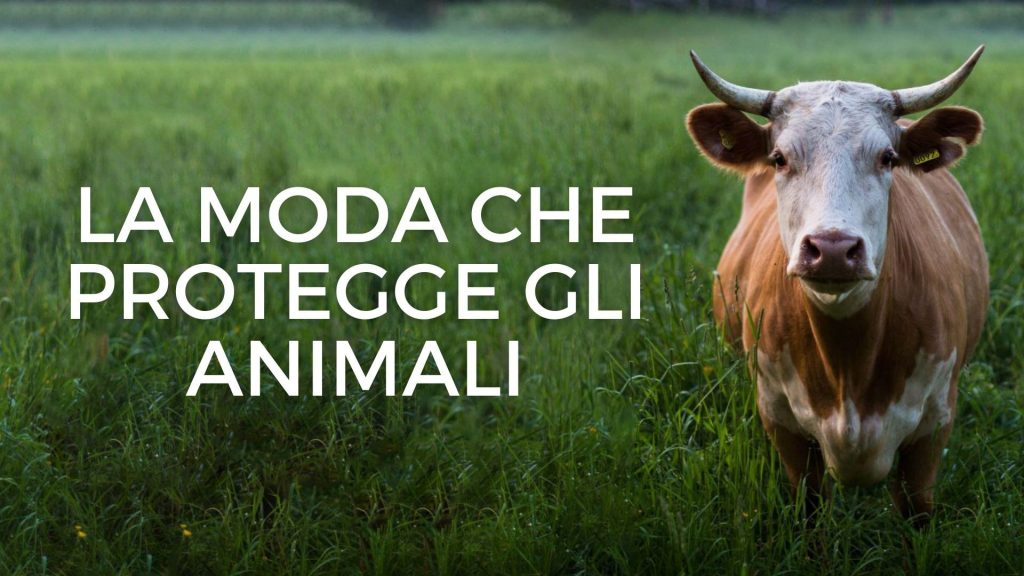 Conosci il brand VSI - Vegan Shoes Italy?