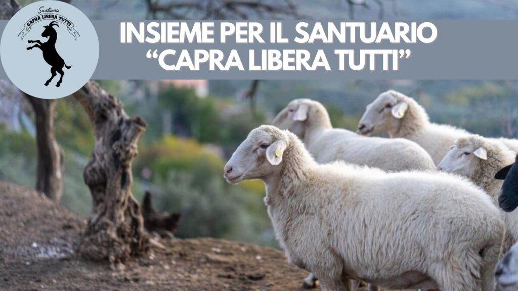 Capra Libera Tutti: La storia del Santuario