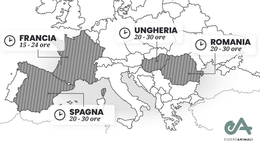 Cosa Succede agli Agnelli a Pasqua?