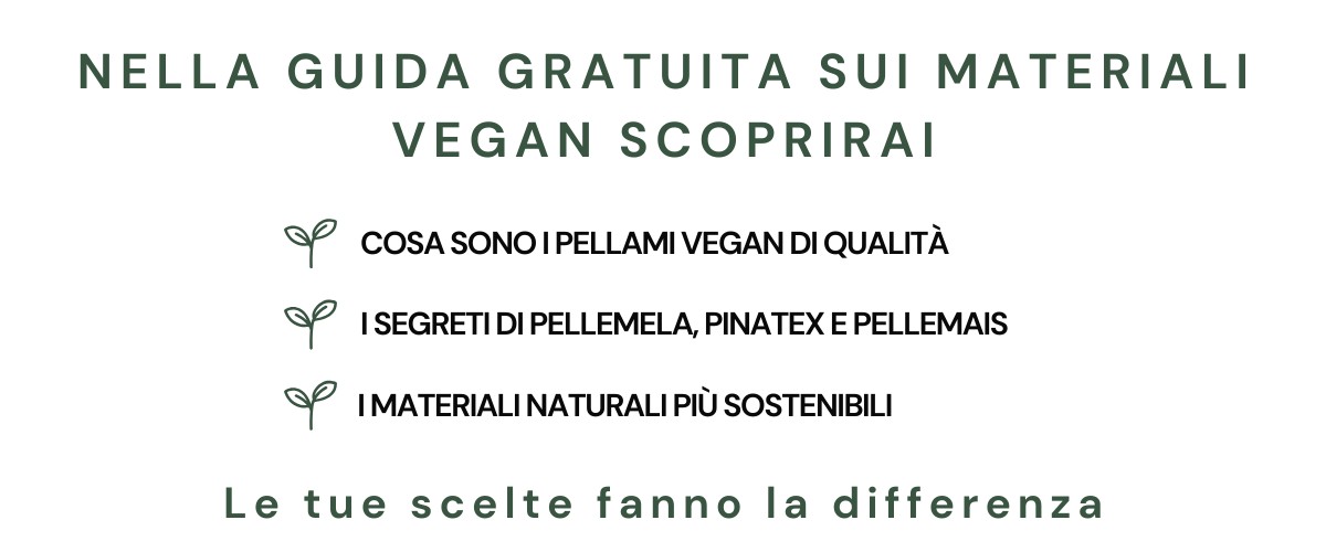 VEGANSHOES-IT - Perchè scaricare la gui