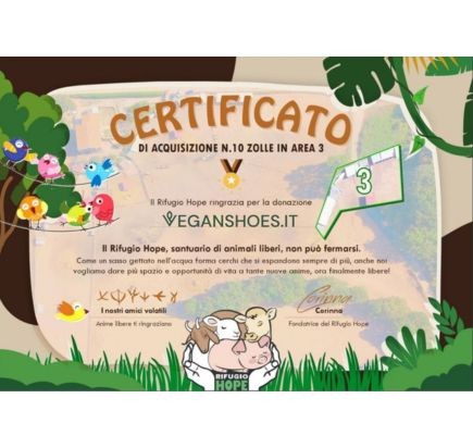 VEGANSHOES-IT - le nostre produzioni art