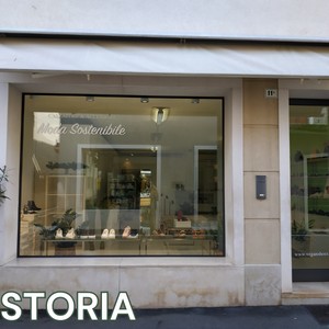 VEGANSHOES.IT La storia