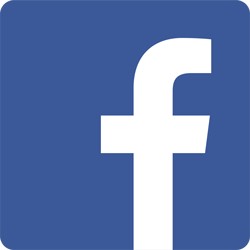 fb-veganshoes.it