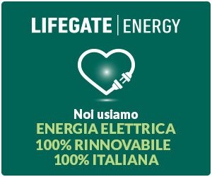 lifegate-img-veganshoes-it.jpg